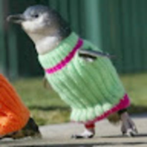 Meet your Posher, Leslie